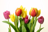 Fototapeta Tulipany - płatki tulipanów