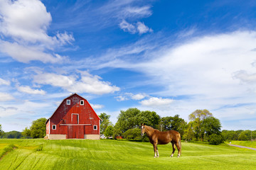 Wall Mural - Agriculture Landscape With Old Red Barn