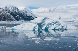 Fototapeta Zwierzęta - Deffirent forms of icebergs, Antarctica