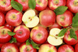 canvas print picture - Rote Äpfel mit Blättern
