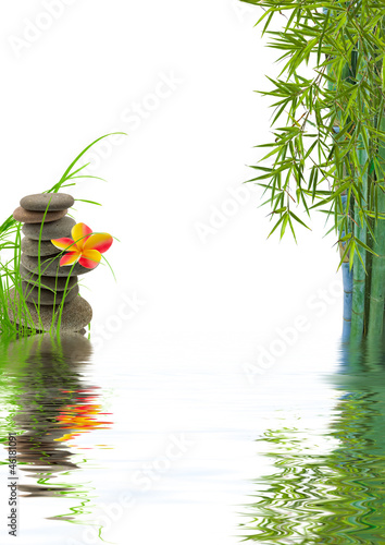 Concept Nature Detente Bien Etre Relaxation Photo Stock Adobe Stock