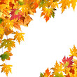 Herbst: Arrangement aus bunten Blättern