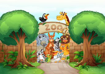 Wall Mural - a zoo and animals