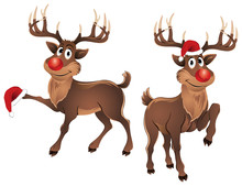 Rudolph The Reindeer With Christmas Hat