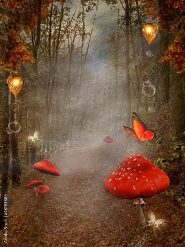 zakleta-seria-przyrodnicza-jesienna-sciezka-z-czerwonymi-grzybami