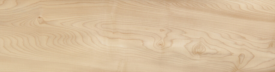 european maple texture