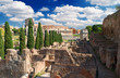 Landscape of Rome, view of Colosseum from Roman Forum and Palatine Hill, Italy
