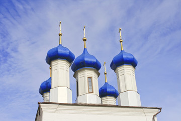 beautiful dark blue domes