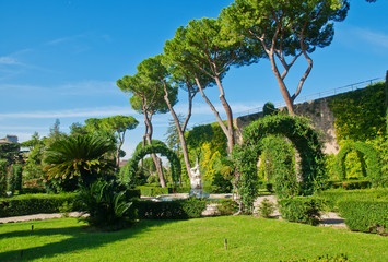 Canvas Print - View of the Vatican Gardens