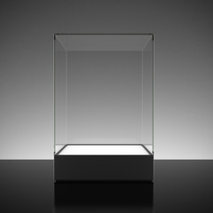 empty glass showcase for exhibit