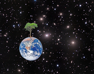 Wall Mural - Earth.Elements of this image furnished by NASA