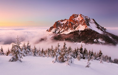 Wall Mural - winter mountain landscape - slovakia