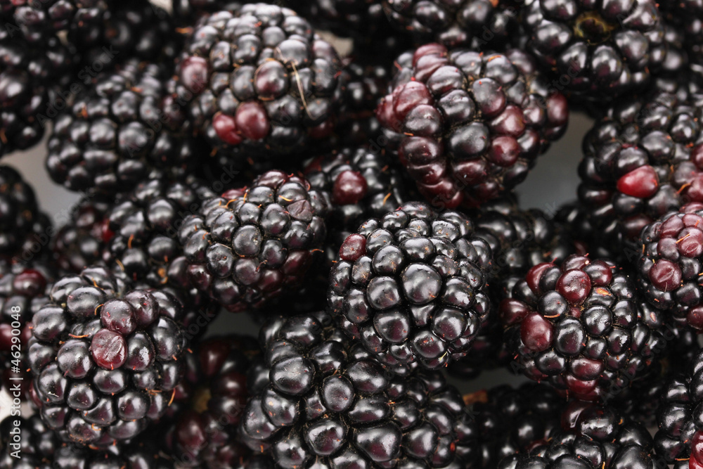 background of beautiful blackberries
