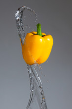 Splashing Yellow Pepper Into Water