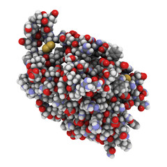 Wall Mural - Interleukin 6 (IL-6) molecule, chemical structure