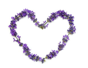 Wall Mural - fresh lavender heart