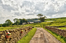 Country Lane Bordered By Stone Walls And Fields.