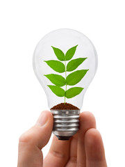 Sticker - Hand with lamp and plant