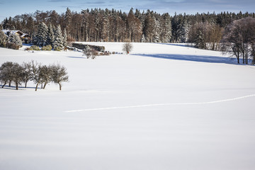 Wall Mural - winter scenery