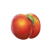 Acrylic Peach