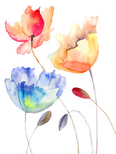Beautiful Summer Flowers, Watercolor Illustration