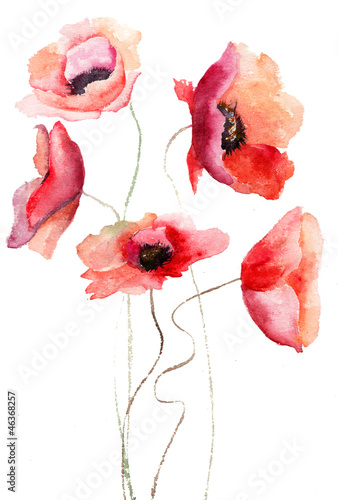 Fototapeta do kuchni Beautiful Poppy flowers