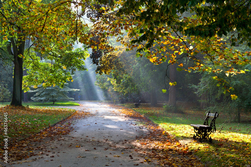 Nowoczesny obraz na płótnie Path in the autumn park. Sunlight. Walking.