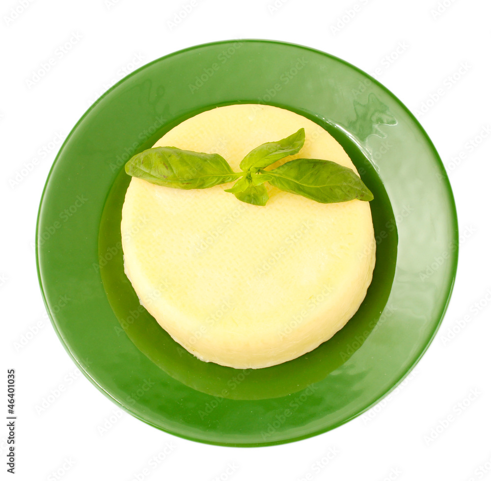 cheese mozzarella with green basil in the plate isolated