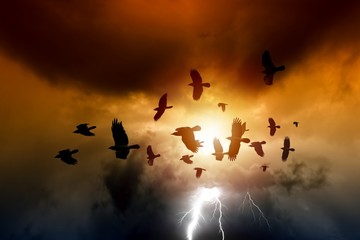 Wall Mural - dramatic sky