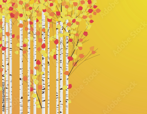 Dekoracja na wymiar  romantyczny-las-brzozowy