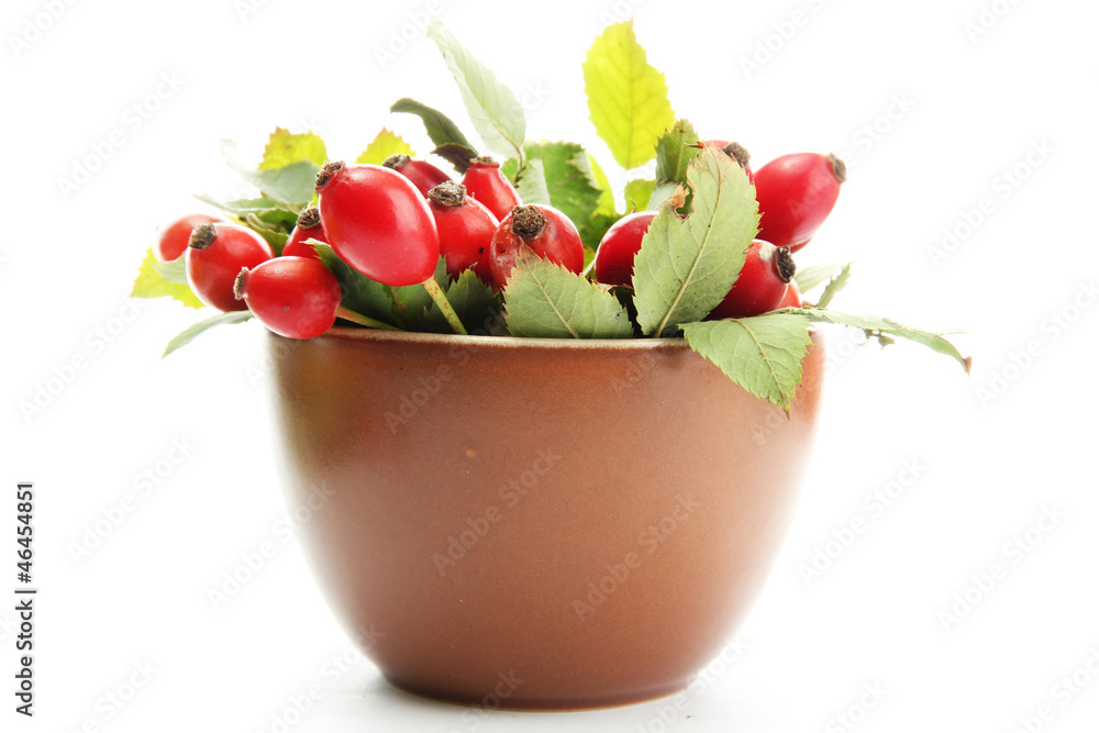ripe hip roses with leaves in cup, isolated on white