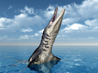 Wall Mural - Liopleurodon