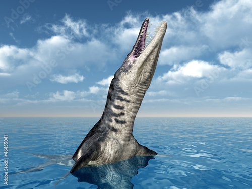 Board z aluminiowym obramowaniem Liopleurodon