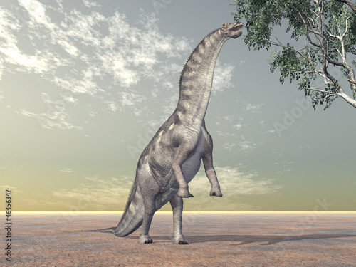 Board z aluminiowym obramowaniem Dinozaur Amargasaurus