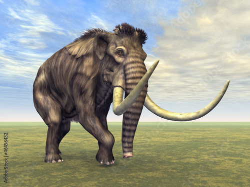 Nowoczesny obraz na płótnie Mammoth