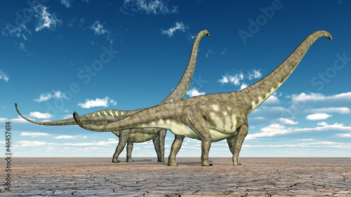Board z aluminiowym obramowaniem Mamenchisaurus dinozaurów