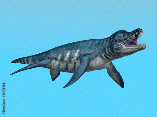 Board z aluminiowym obramowaniem Liopleurodon