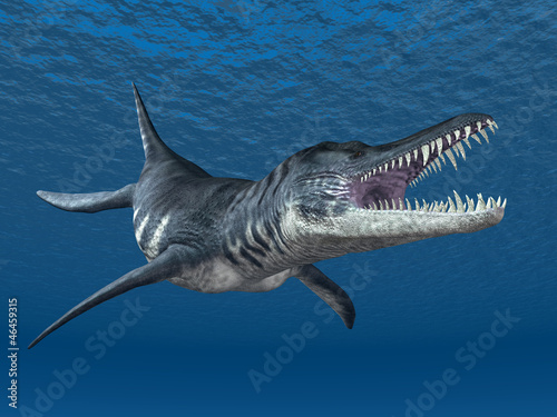 Board z aluminiowym obramowaniem Liopleurodon