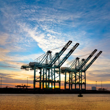 Cranes In The Port At Sunset.