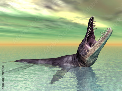 Board z aluminiowym obramowaniem Liopleurodon