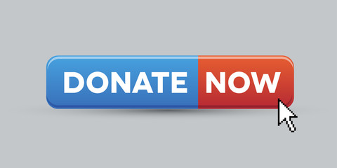 Donate now button