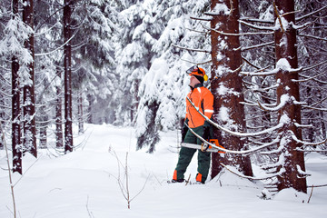 Canvas Print - lumberjack