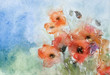 © bittedankeschön - aquarell, mohnblumen mit kapseln