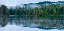 Perfect Reflection Of Misty Forest In Lake