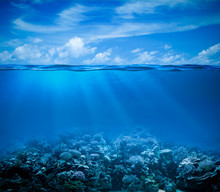 Underwater Coral Reef Seabed View With Horizon And Water Surface
