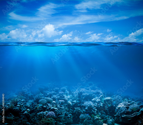 Fototapeta na wymiar Underwater coral reef seabed view with horizon and water surface