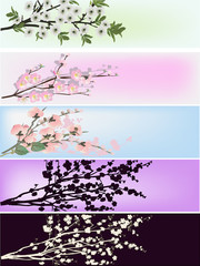 Sticker - set of cherry tree branches