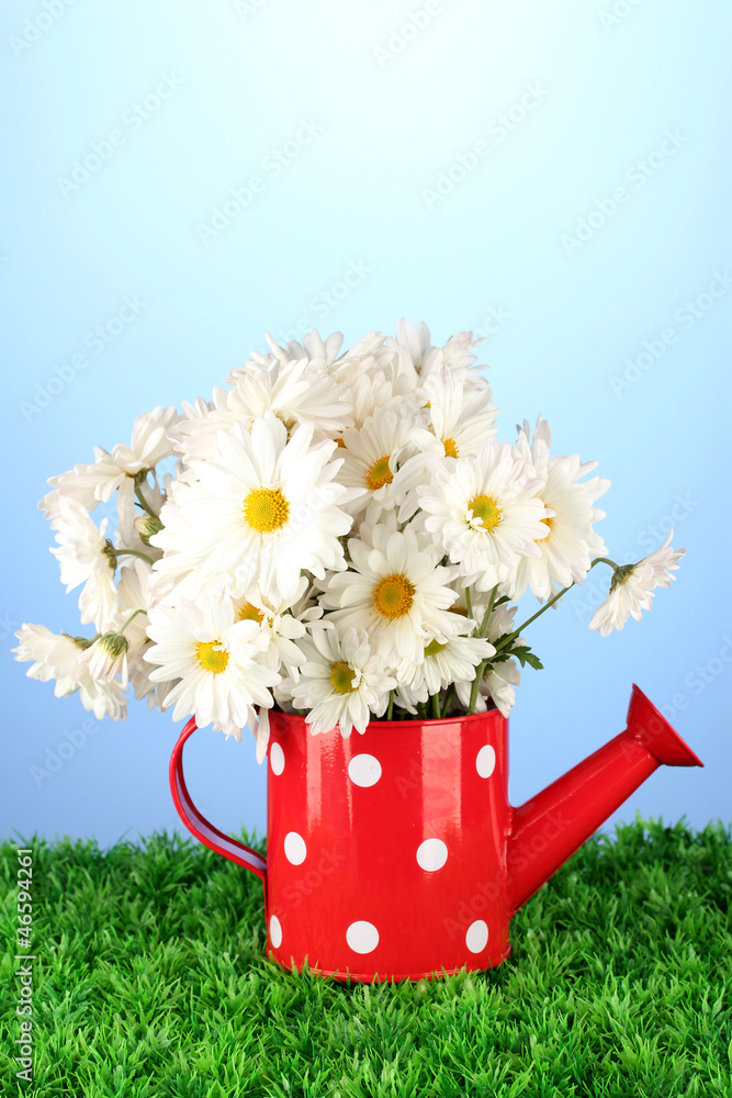 Flowers in vase on grass on blue background