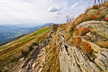 Sticker - Carpathian mountains