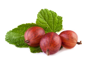 Wall Mural - gooseberry with leaf isolated on white